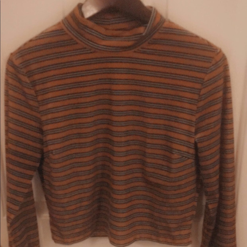 Long Sleeved Crop Top Turtle Neck
